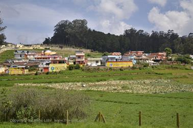 On Road-Route Ooty to Coonoor_DSC5295_H600